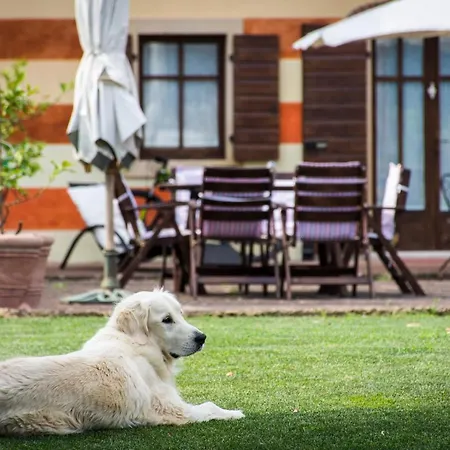 Musella Winery & Relais Country house *