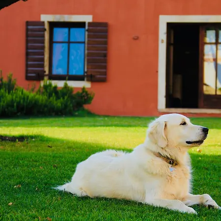 Kır Evi Musella Winery & Relais *