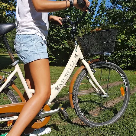 Musella Winery & Relais Landsted