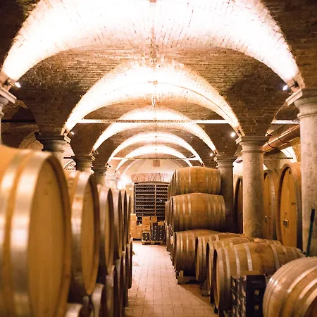 Musella Winery & Relais Kır Evi